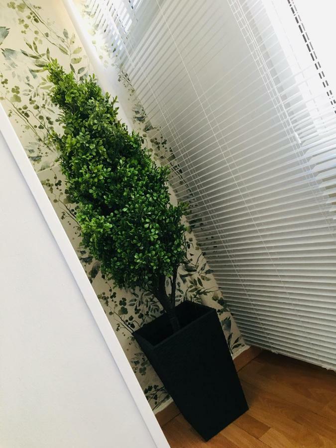 Apartamento Good Vibes Appartement Zaragoza Buitenkant foto